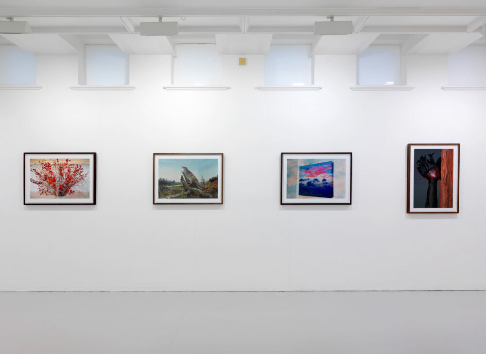 Tate St Ives