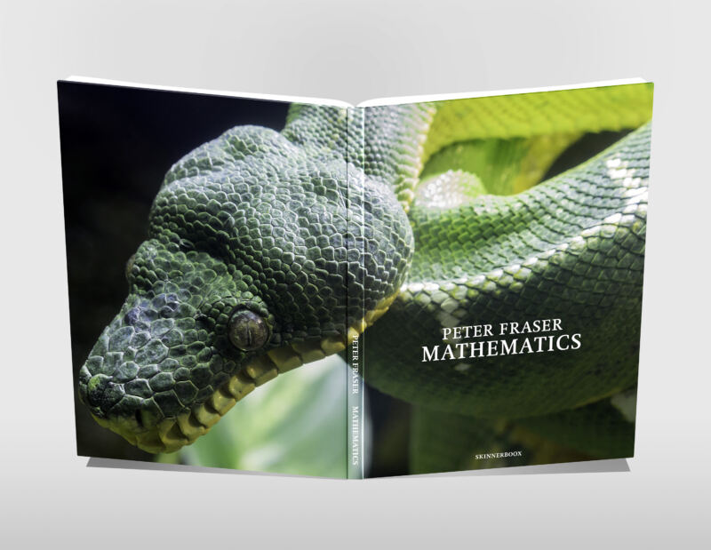 Mathematics, published by Skinnerboox, Italy
